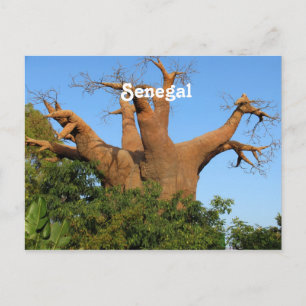Senegal Vykort
