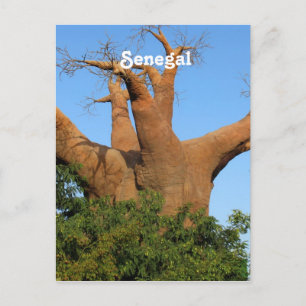 Senegal Vykort