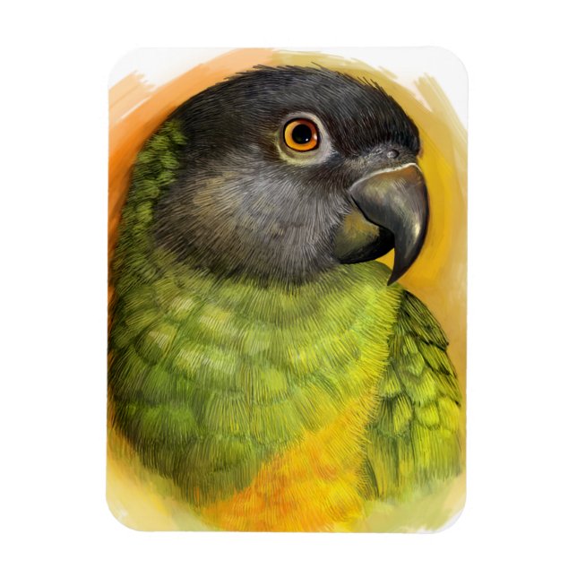 Senegalparrot, realistisk målning magnet (Vertikal)