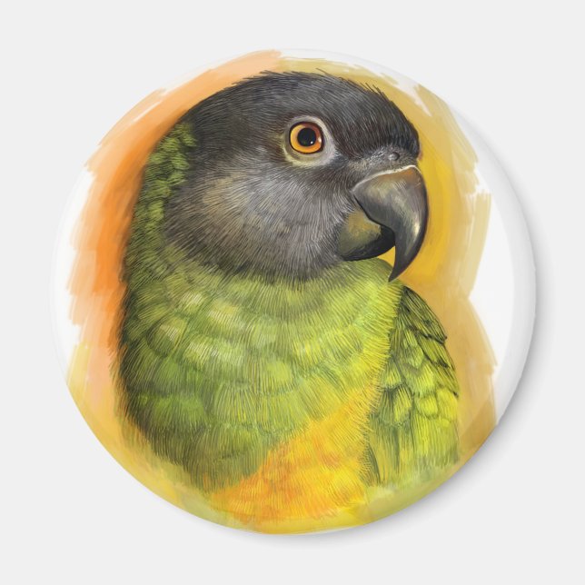 Senegalparrot, realistisk målning magnet (Framsidan)