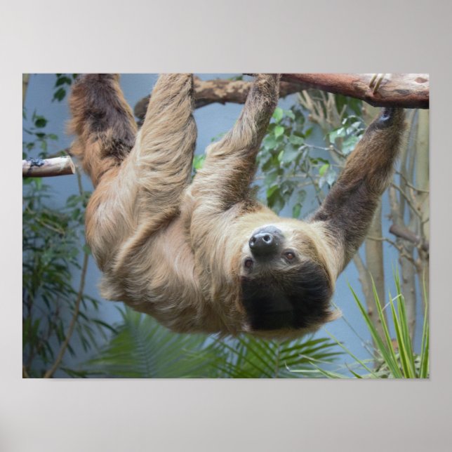 Sengångare Fotoaffisch Poster (Framsidan)