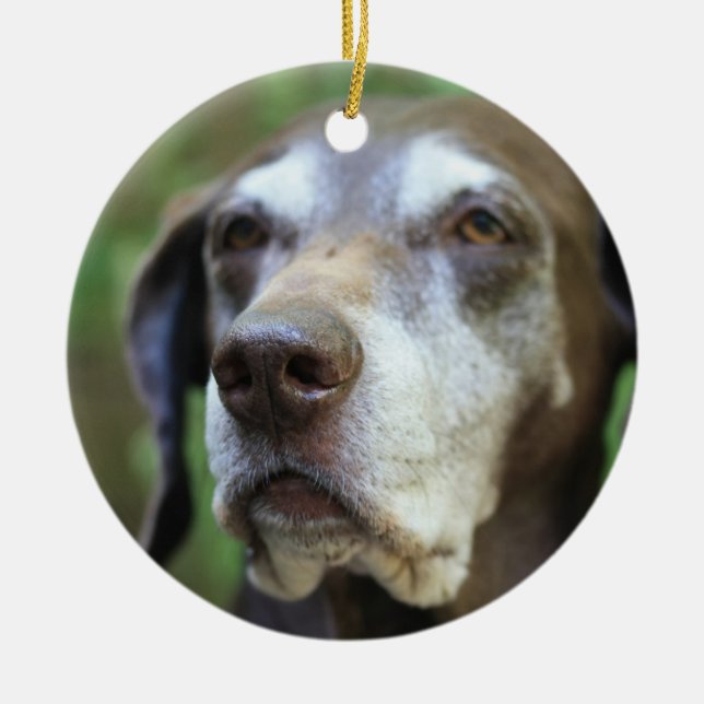 Senior German Pointer ornament (Framsidan)