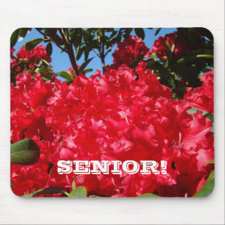SENIOR! musmatta Gymnasium Röda