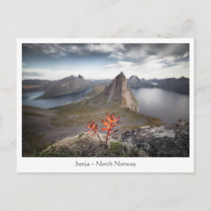 Senja Norge Vykort