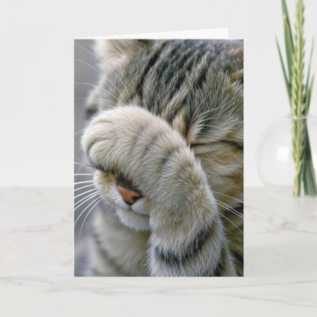 Senkommen Födelsedag Grå Tabby Katt Kort (Framsida)