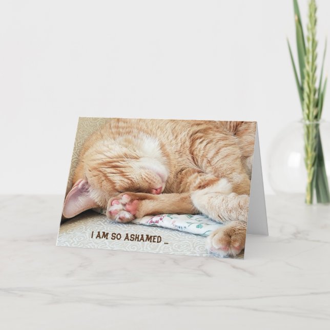 senkommen födelsedag-tabby katt kort (Framsida)