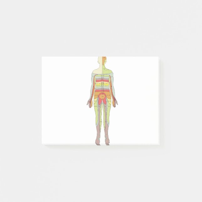 Sensorisk dermatomes neurologi post-it block (Framsida)