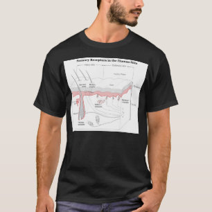 Sensoriska receptorer i humant huddiagram tee shirt