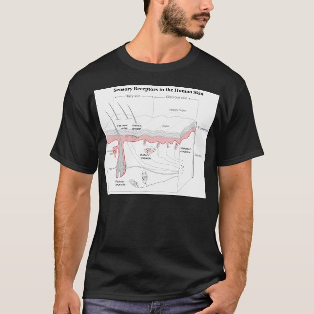Sensoriska receptorer i humant huddiagram tee shirt (Framsida)