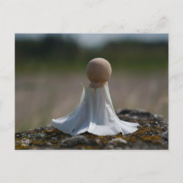 Sensueel gehuld poppetje in een bloemen jurkje. vykort