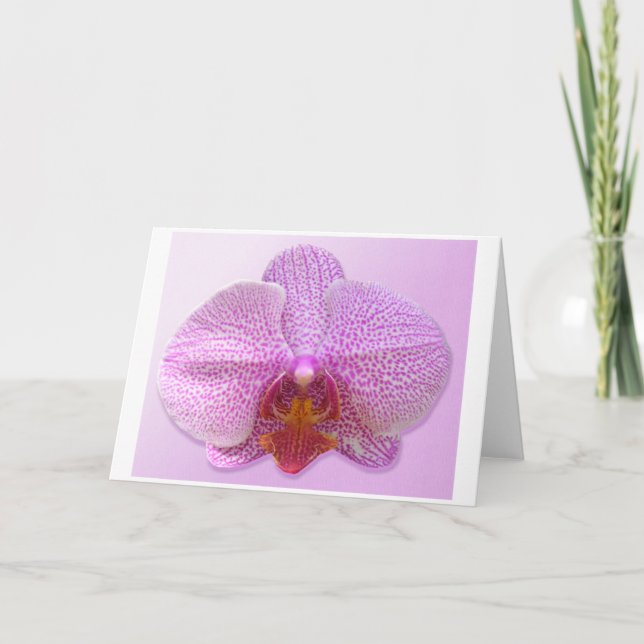 Sensuellt konstkort kort (Framsida)