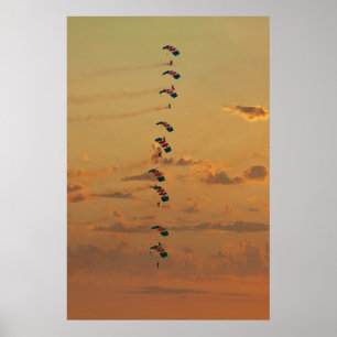 Sensunera falkoner Stackbildning Poster