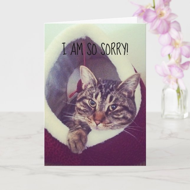 Sent Förlåt Grå Tabby Katt Ungdjurs Platshållarbil Kort (Orkide)