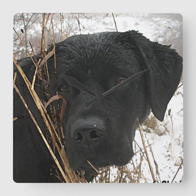 Sent Season Hunt - Svart lab - Labrador Fyrkantig Klocka (Framsida)