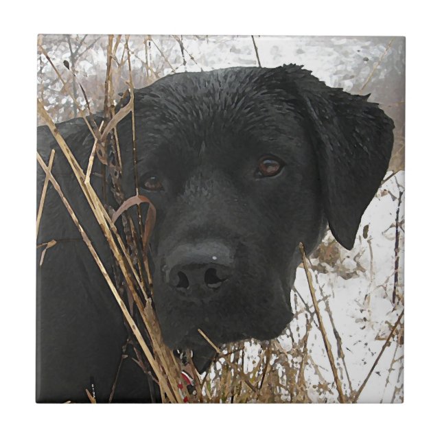 Sent Season Hunt - Svart lab - Labrador Kakelplatta (Framsidan)