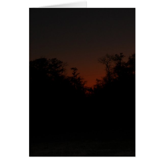 Sent solnedgång hälsningskort (Framsidan)