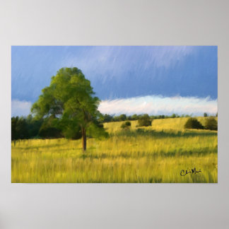 Sent sommarkväll - Målning Poster