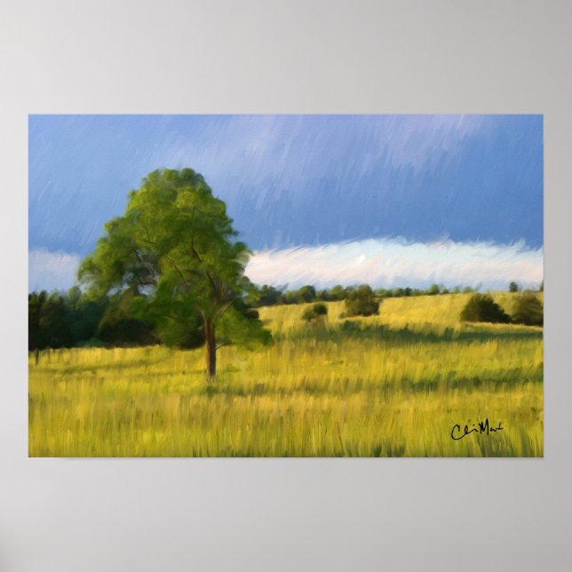 Sent sommarkväll - Målning Poster (Framsidan)