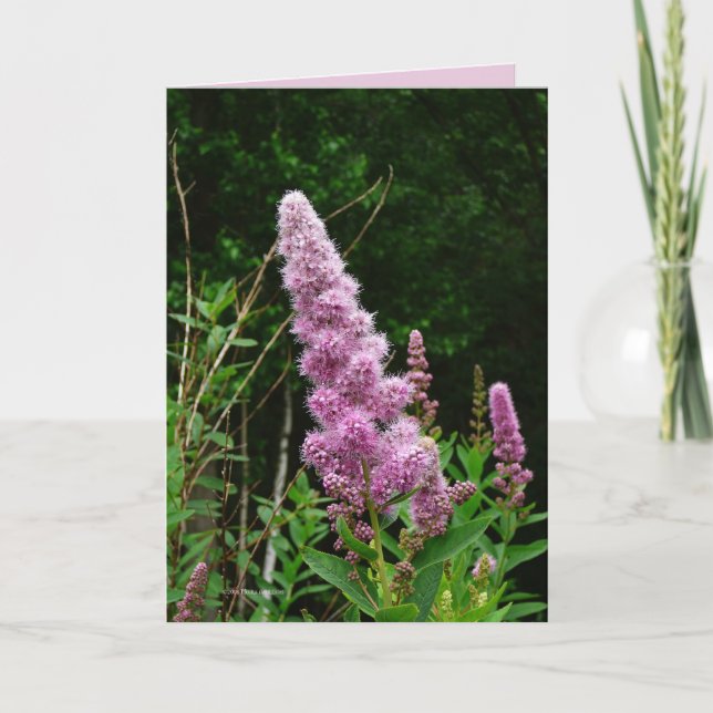 Sent sommarminne kort (Framsida)