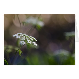 Sent sommarsnöre hälsningskort