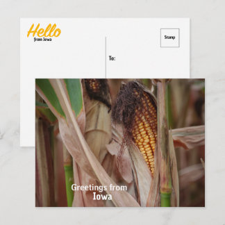 Sent sommarvy från Iowa vykort
