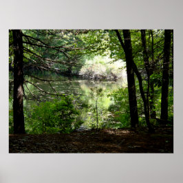 Sent Summer vid Walden Pond Poster