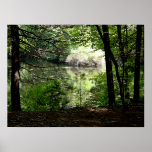 Sent Summer vid Walden Pond Poster
