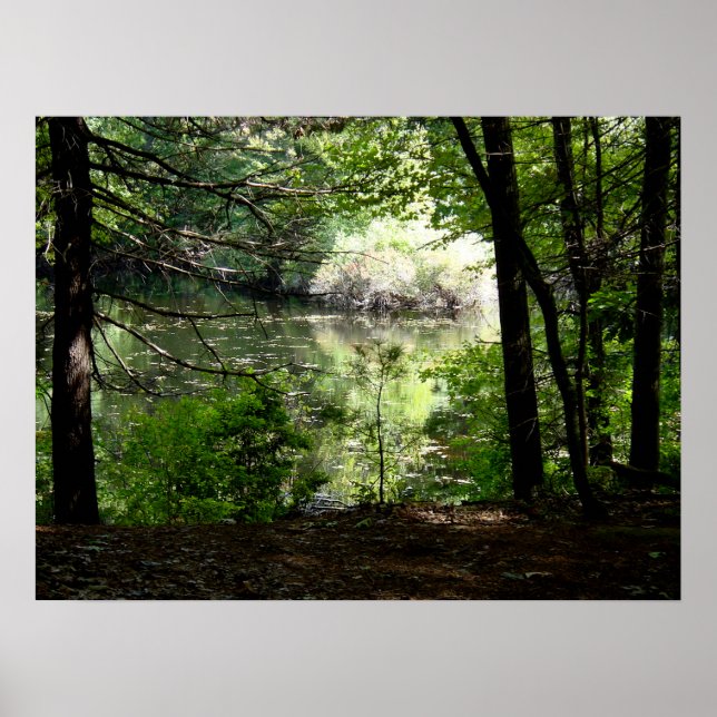 Sent Summer vid Walden Pond Poster (Framsidan)