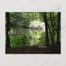 Sent Summer vid Walden Pond Vykort