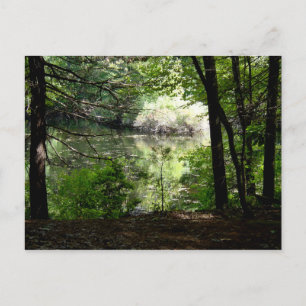 Sent Summer vid Walden Pond Vykort
