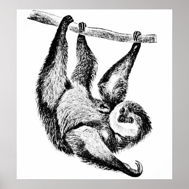 Sent Teckning Illustration Poster (Framsidan)