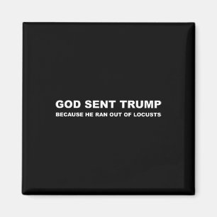 Sent Trump för att han kom ut ur husbehovens spekt Magnet