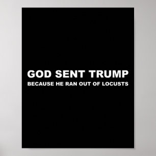 Sent Trump för att han kom ut ur husbehovens spekt Poster