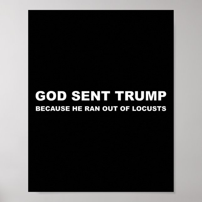Sent Trump för att han kom ut ur husbehovens spekt Poster (Framsidan)