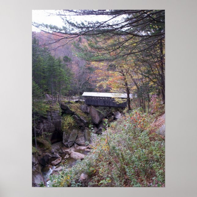 Sentinel Bridge Fall Foliage Poster (Framsidan)