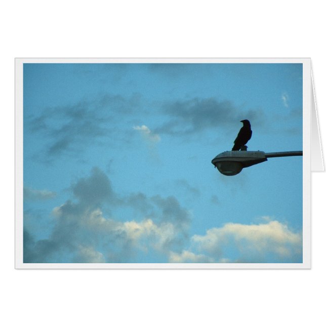 Sentinel Hälsningskort (Framsidan Horizontal)