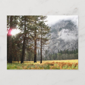Sentinel Meadow Vykort