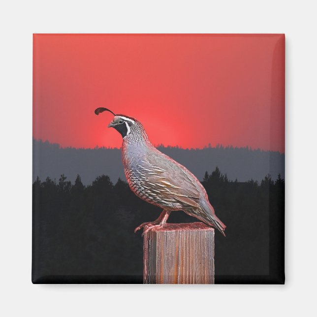 SENTINEL VID SUNSET MAGNET (Framsidan)