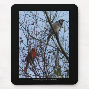 Sentinels Blue Jay och Cardinal av Lee Hiller Musmatta