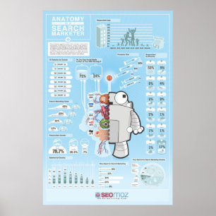 SEOmoz 2010 - branschundersökning Poster