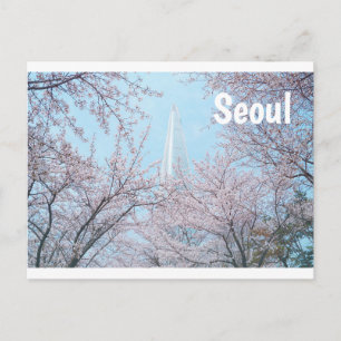 Seoul Cherry Blommar Vykort