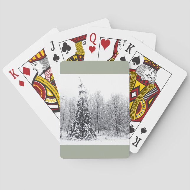 separation med säkerhet spel kort (Baksidan)