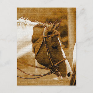 Sephia Horse Mosaics Vykort