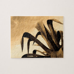 Sepia Aloe Cactus Plant Pussel
