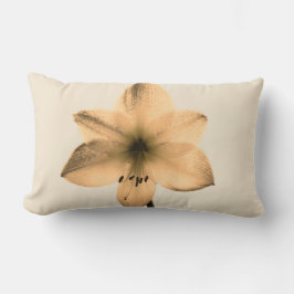 sepia amaryllis lumbarkudde