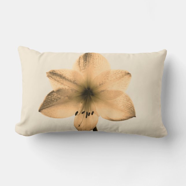 sepia amaryllis lumbarkudde (Framsida)