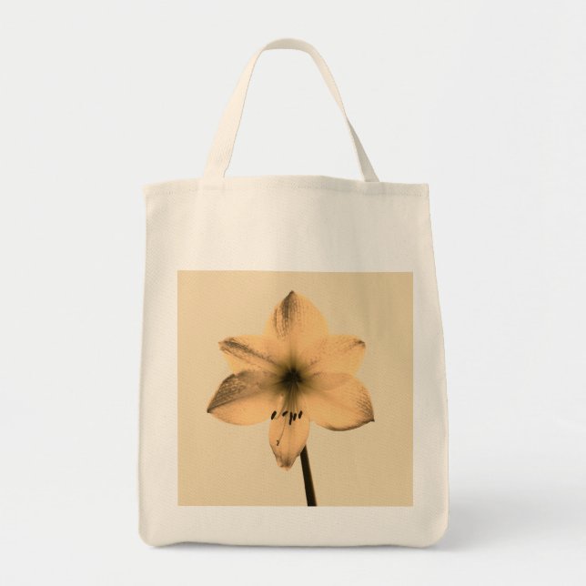 sepia amaryllis tygkasse (Framsidan)