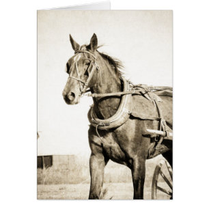 Sepia Amish Horse and Buggy Hälsningskort