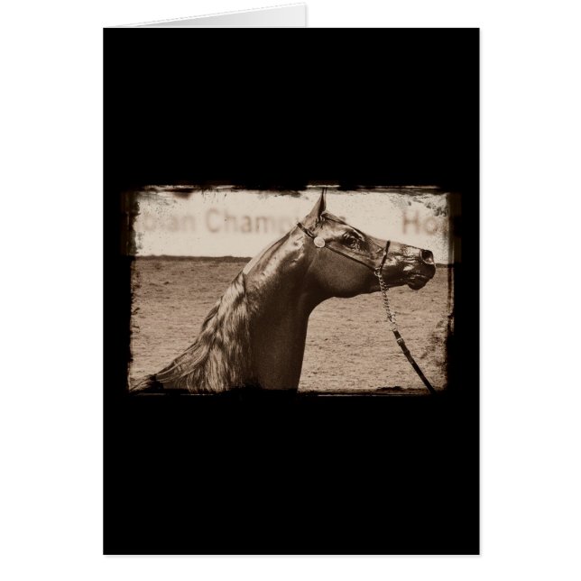 Sepia Arabian Stallion Hälsningskort (Framsidan)