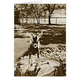 Sepia avbildar av beslutsam babyget hälsningskort